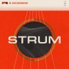 9 Horses、Joe Brent、Sara Caswell、Andrew Ryan、Sam Sadigursky、John Hadfield、Kaoru Watanabe - Strum