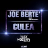 Joe Bertè、Dago Hernandez - Culea (Alex Nocera Remix)
