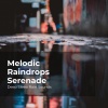 Deep Sleep Rain Sounds、Rain Meditations、Rain Sounds Collection - Lulling Rain Showers