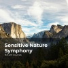 Sleep Sounds of Nature、Nature Sounds Nature Music、Nature Sounds - Raindrops in the Jungle