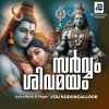 BR The Music、Ratheesh Chandran、Viju Kodungalloor、Manoj mani - Ohm Nama Shivaya (feat. Ratheesh Chandran, Viju Kodungalloor & Manoj mani)