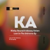 Kinky Sound、Alexey Union - Lost In The Universe