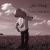 john murphy - Pretty Little Bird