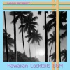 Loco Spirit - Hawaii is Magic