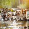 Music For Pets、Aquagirl、X.L.T - Paws Stream Soft