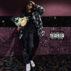 flint2fried - tell me what you want (Explicit)