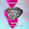 David - Feelin You