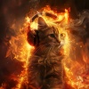 Music For Cats、The Harmony、Cat Songs - Fire Cat Calm