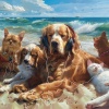 Pet Music Therapy、Sleeping Ocean Waves、Contemporary Christian Music - Whiskers Tune Calm