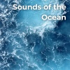 Earthly Sounds、Streaming Waves、Heal Your Soul、Coastal Sounds、Noise of Water、Ocean Minds《Summer Ocean Waves》[MP3/LRC]