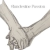 All-Star Bossa Band、The Big Bossa、bossasonic - Clandestine Passion