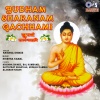 Krishna Shinde - Bheem Jayanti