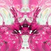 Will Boyd - Pink Cloud