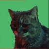 K0i - Sad Cat (Meowing)