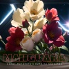 Derby Motoreta’s Burrito Kachimba - Manguara