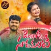 Hanumanth Yadav、Lavanya Potharaju - Pilla Ninnu Sudakunte
