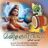 BR The Music、Ratheesh Chandran、Biju Karunakaran - Mayileri va (feat. Ratheesh Chandran & Biju Karunakaran)