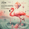 Rhythmbox、Nomad (MX) - Nachit
