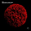 Gene Karz、Lesia Karz - Everybody Wants To Rule Techno