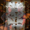 Blaq Queen SA、Dj 10 Minutes - Serurubele
