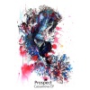 prospect - Carnival