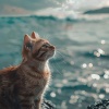 Colores modales、Zona de Sonidos de la Naturaleza、Relajación del gato - Sueño Apacible Del Gato En El Ambiente Oceánico