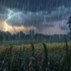 Musica para Dormir Dream House、Estrellas Durmientes、Lluvia Para Dormir Mejor - Armonía Binaural De Canciones De Lluvia