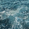 Barky、Binaural Shapers、The Solfeggio Peace Orchestra - Canine Calm in Binaural Waters
