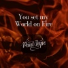 Andy Southern Rose on Bass guitar、Jonathan@JTstudios on Drums、Paul Jupe - YOU SET MY WORLD ON FIRE (feat. Andy Southern Rose on Bass guitar & Jonathan@JTstudios on Drums)