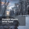 Forest Sounds、Ambient Forest、Rainforest Sounds - Gloomy Forest Rhythm