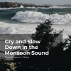 Thunderstorm Sleep、Thunderstorm、Thunder Storms & Rain Sounds - Euphonious Thunderstorm