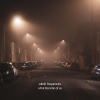 Subtle Frequencies - What Became of Us