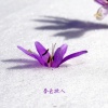 键与弦 - 百花齐放 (大提琴)