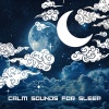Surrounding Life、Sleepy Sine - Sleeping Music (Calm Sleep)