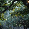 Las Tortuguitas、Sonido De Truenos y Lluvia、Beatriz Pichi Malen - Ritmos De Tormenta En La Armonía De La Gota De Lluvia