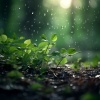 Experiencia de música cristiana、Escuela de Lluvia、Música instrumental cristiana para guitarra - Resonancia De Lluvia Aérea