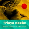 Cimafunk、Michael Brun、Keyon Harrold、Erik Alejandro Iglesias Rodríguez、Danny McKinnon、Ibáñez Hermida Marrero、Arthur Luis Álvarez Torres《Playa Noche》[MP3/LRC]