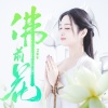艾米尔 - 佛前花