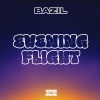Bazil - Evening Flight