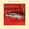 Tom Marvell、Max Marvell、Steve Fallone、Greg Calbi、Jan Skubiszewski、Dylan Mitchell Frost、Jesse Gaupset、Theo Henry、Dave Hemming、Marvell - Study Of Life