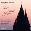 christoph prégardien、Karsten Storck、Mainzer Domorchester《So stehet ein Berg Gottes》[MP3/LRC]