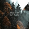 Flowa、LEO、Florian Walter、AS Recording - Bye