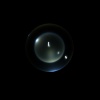 Besomage、Hypermorph、IOVA - Insomnia
