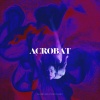 Surfing For Daisy - Acrobat