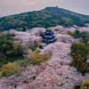 照寒 - 江上行