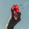 张志强 - 诺言