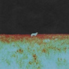 Friday Pilots Club - Nothing Or Forever