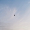 Aurelius - Wisdom