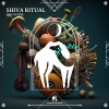 Joes Vedra、Cafe De Anatolia - Shiva Ritual