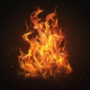 Meditation Hz、Fireplace FX Studio、Calming Beats - Serene Binaural Campfire for Meditative Focus